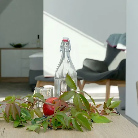 Duene 74 Gasthuis 4*